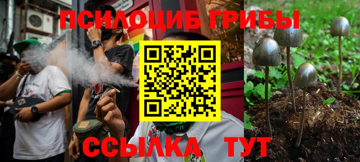 Псилоцибиновые грибы GOLDEN TEACHER Ростов Великий